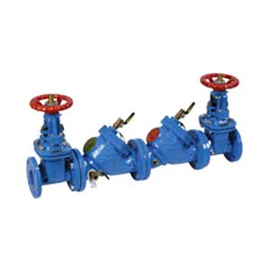 Backflow Preventer