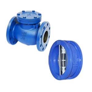 Check Valve